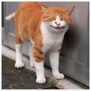 Ooh, ooh, ooh, ooh
Ooh, ooh, ooh, ooh